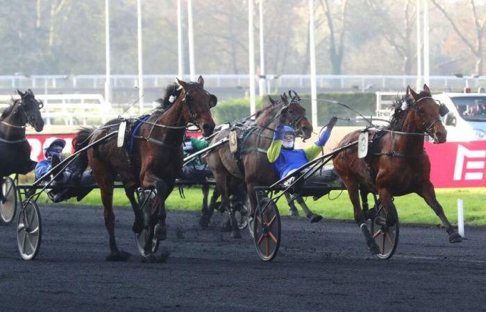 PMU – Arrivée du cinquième mercredi 4 décembre à Paris-Vincennes : Chemar montre son vrai visage