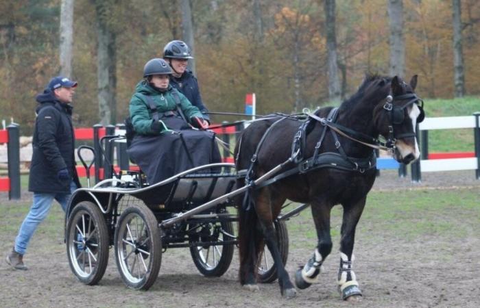 Quadriplégique à 16 ans après une chute, Sarah se reconstruit… avec ses chevaux en Loire-Atlantique