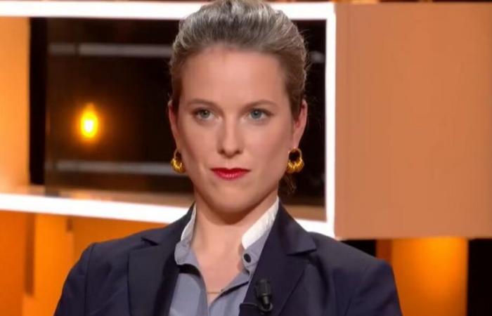 Lucie Castets démolie par un député écologiste, “Vous ne me représentez pas”