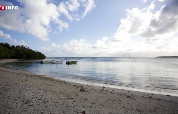 le corps d’une femme découvert près d’une plage, une enquête pour meurtre ouverte