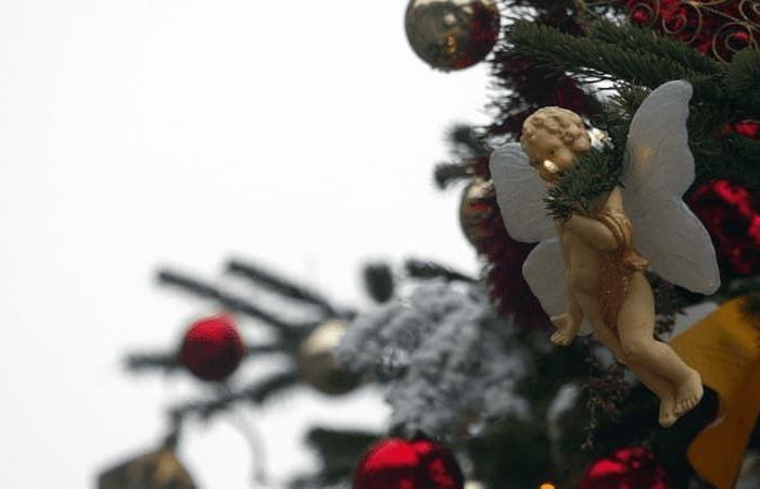 un sapin de 2,50m volé en pleine rue à Maurois, le maire appelle le coupable à restituer l’arbre