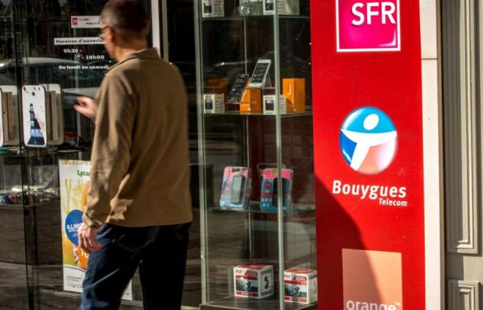 une « guerre des prix » qui fait s’effondrer les prix – 12/04/2024 à 09:07