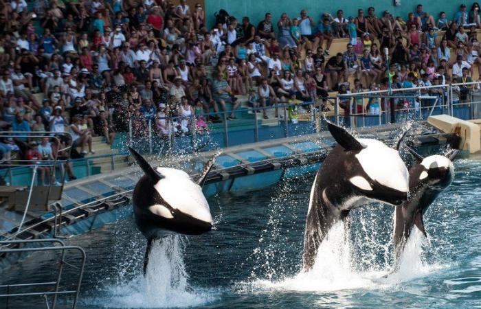 le parc aquatique vit ses dernières heures