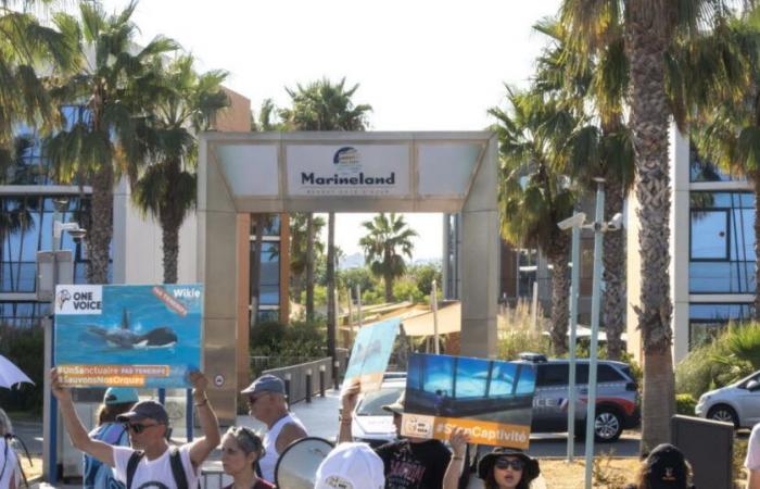 Antibes. Marineland fermera définitivement ses portes le 5 janvier