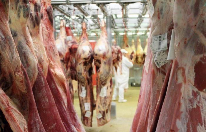 Les prix de la viande rouge continuent de baisser à Casablanca