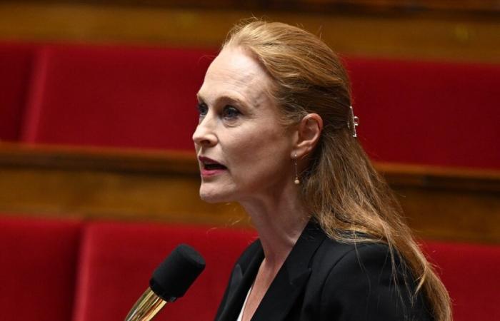 La députée Violette Spillebout critique les motions de censure