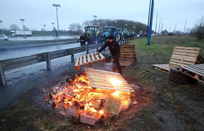 L’autoroute A2 coupée dans le Nord après une mobilisation des agriculteurs français et belges