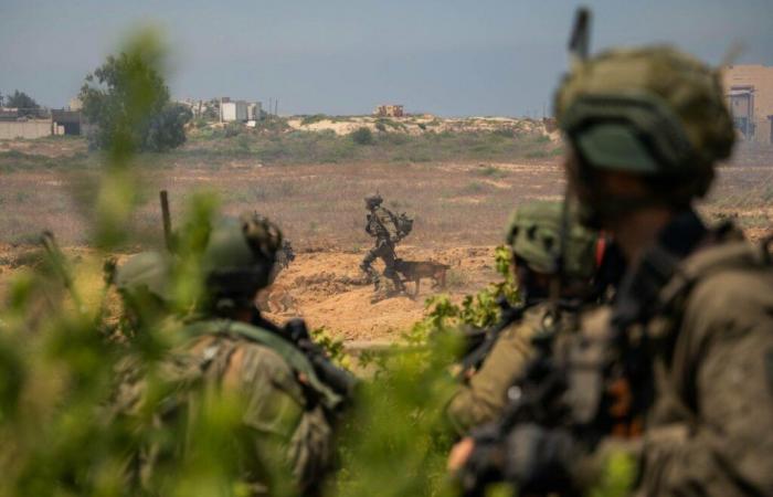 Rapport d’Amnesty sur Gaza : Israël dénonce les « mensonges »