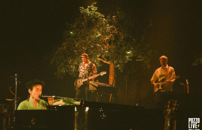 Rapports en direct | Jacob Collier à Lyon a conquis son public