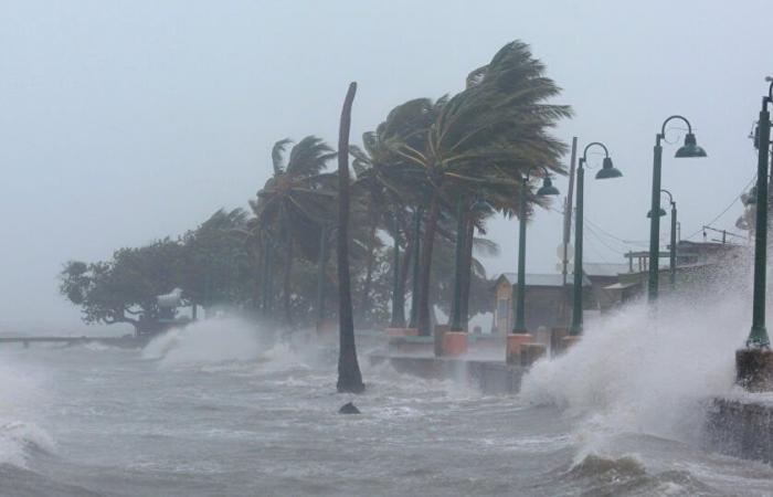 Gouttes et rafales de vent, l’alerte météo importante des prochaines heures