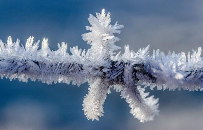 quelles communes ont été les plus touchées par le froid ?