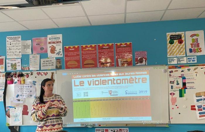 Sainte-Livrade-sur-Lot. Le collège P. Froment obtient le label égalité filles-garçons