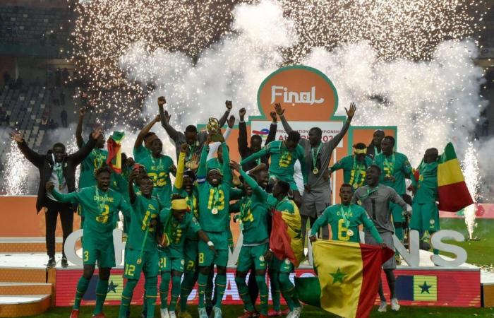 Le Championnat d’Afrique des nations, une compétition qui perd son sens