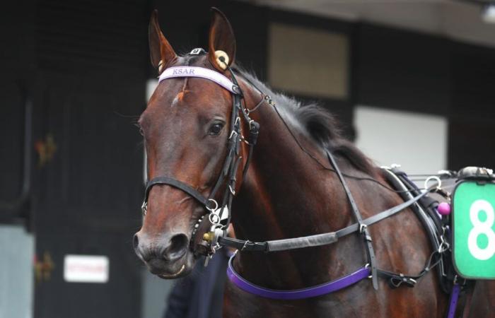 plus de confort pour le Ksar de Vincennes