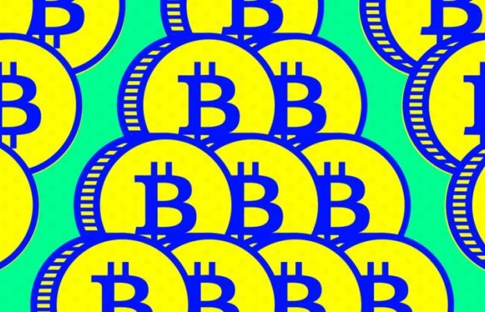 Bitcoin dépasse les 103,00 $ dans une course record