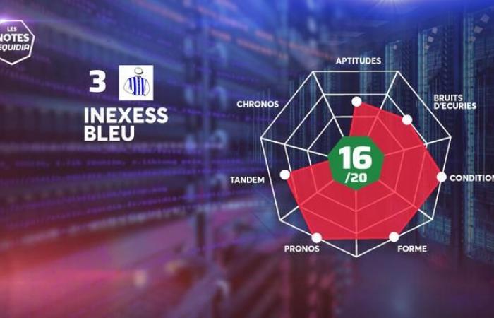 Les Notes des partants du Quinté+ de ce jeudi 5 décembre