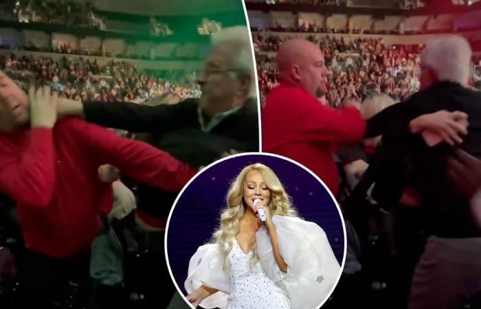 Les fans de Mariah Carey se battent sauvagement lors du concert de Noël