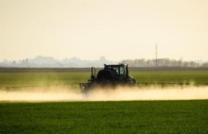 Le glyphosate pourrait causer des lésions cérébrales durables