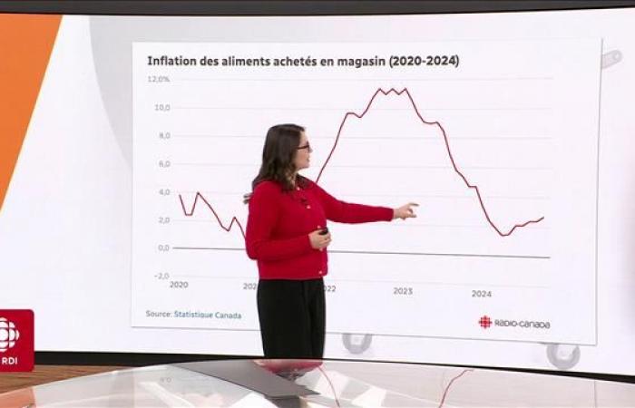 En 2025, une famille devra payer jusqu’à 800 $ de plus pour l’épicerie