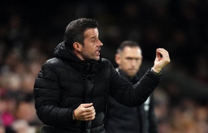 Nous allons nous dépasser – Marco Silva veut encore plus de Fulham – The Irish News