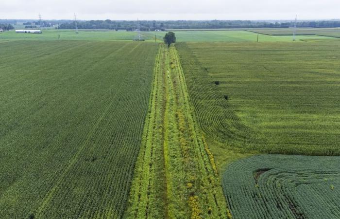 Québec s’en prend aux spéculateurs qui achètent des terres agricoles