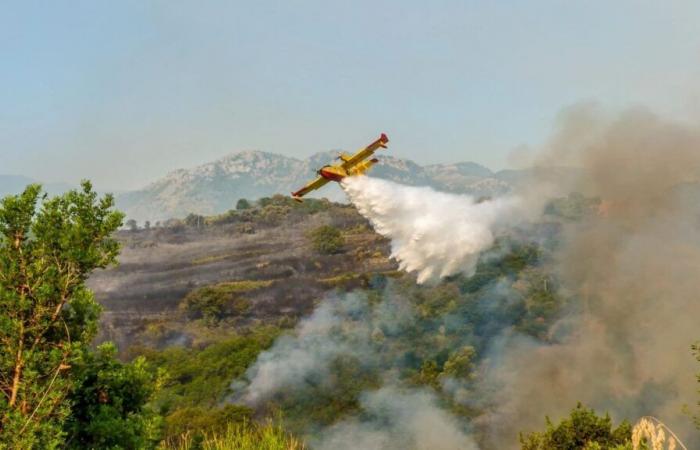 Ils apprécient l’efficacité du système de lutte contre les incendies de forêt à Ourense