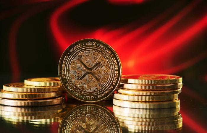 “Ripple est centralisé et trompe les investisseurs XRP”