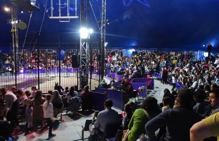 Spectacle magique du Cirque en 2 Rives pour les agents du Conseil Départemental