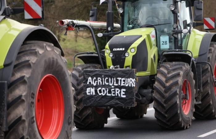 Des agriculteurs en colère jettent des poubelles devant des bâtiments publics dans le Tarn-et-Garonne