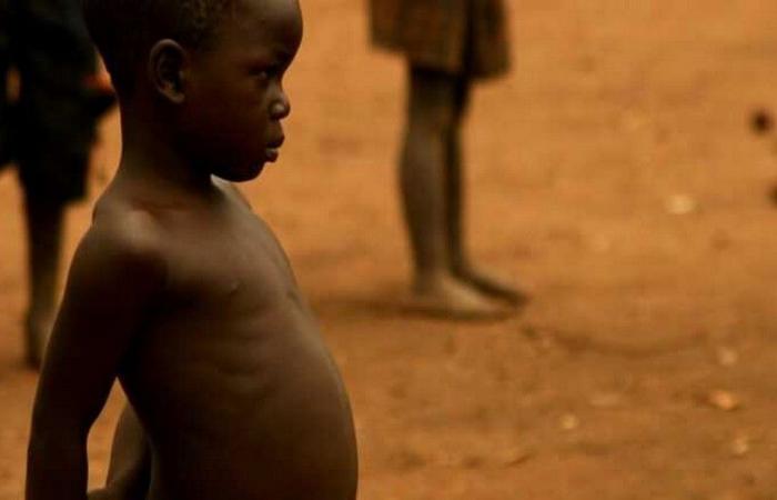 Le PAM lance un appel urgent face à l’aggravation de la malnutrition en Afrique australe et en RDC – VivAfrik