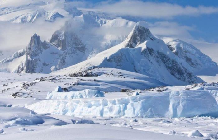 Ces étonnantes images de l’Antarctique laissent les chercheurs incrédules