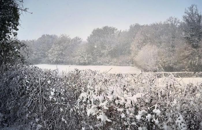 ce qui vous attend en Bourgogne-Franche-Comté