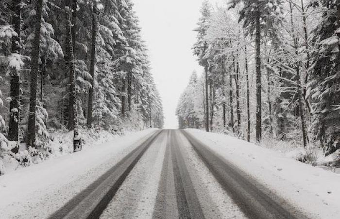 neige et froid attendus dans le Tarn dans les prochains jours