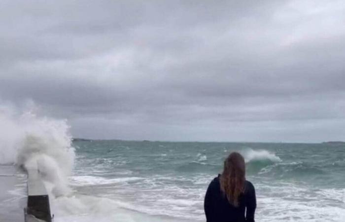 Face au vent et aux risques de tempêtes, la Ville de Saint-Malo prend des mesures