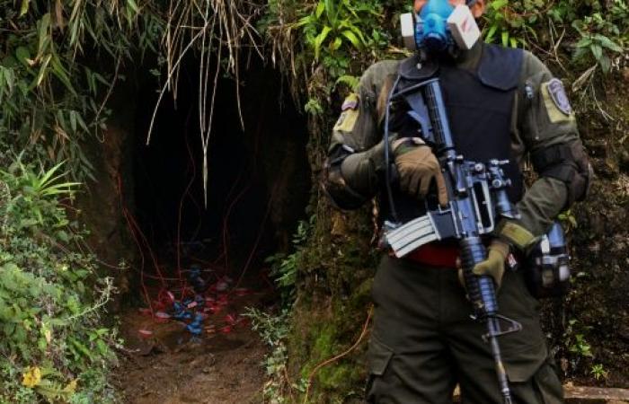 Sur les hauteurs de Cali, la lutte contre les mines d’or illégales