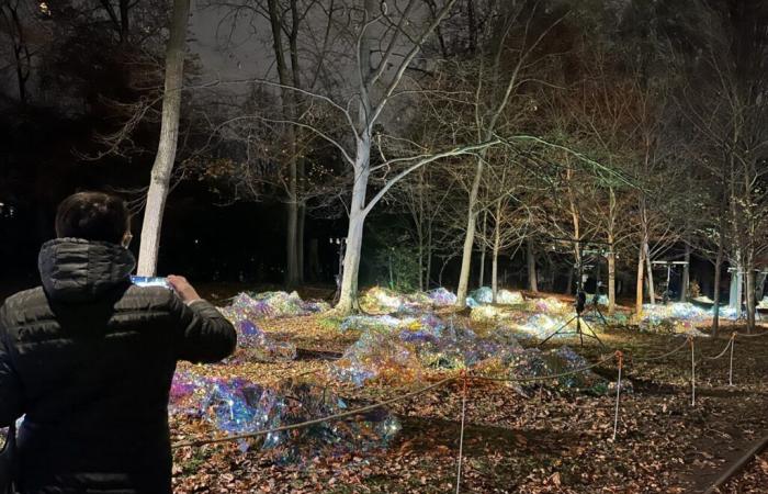 Fête des Lumières à Lyon. Des spectateurs démolissent le parc de la Tête d’Or qui déçoit