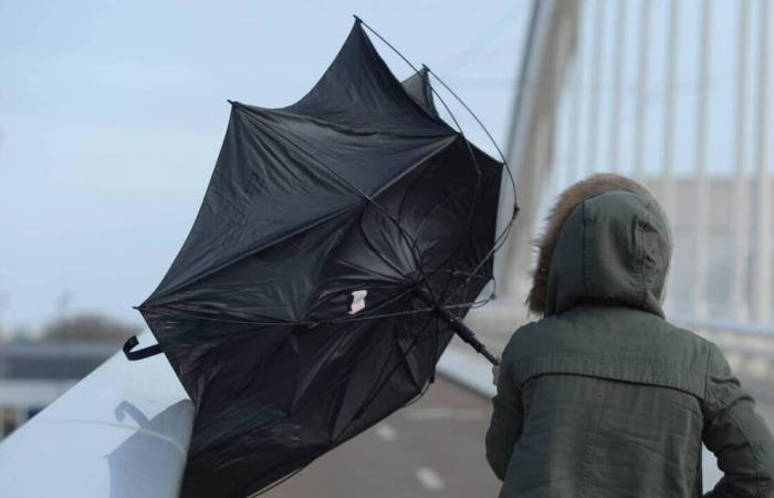 Tempête Darragh. La Loire-Atlantique est placée en alerte jaune : à quoi faut-il s’attendre ?