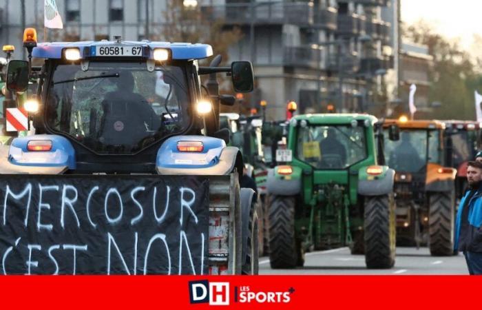 quels sont les impacts concrets à craindre pour les agriculteurs belges ?