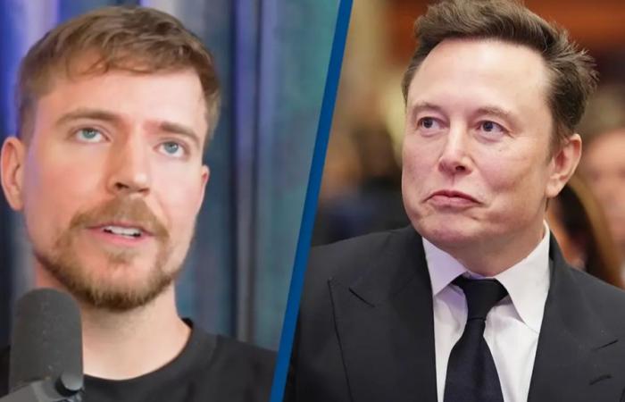 MrBeast révèle les premiers mots bizarres qu’Elon Musk lui a dit et les gens le perdent – ​​Actualités