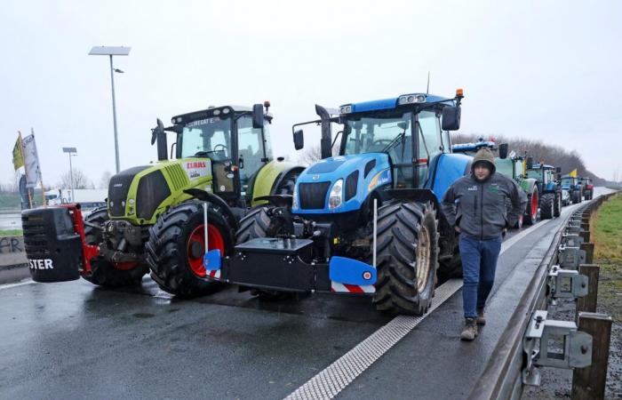 L’accord de libre-échange UE-Mercosur, dont la signature est imminente, concentre la colère des agriculteurs qui manifestent