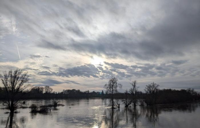 la Loire est en crue !