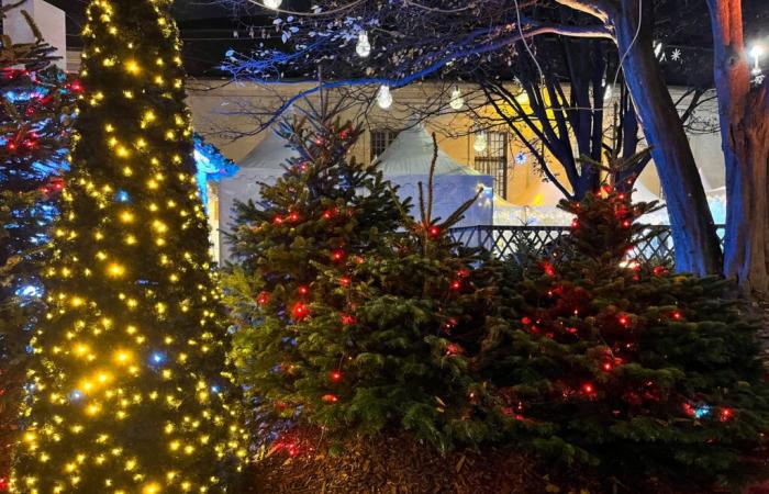 illuminations, marché de Noël et petit train