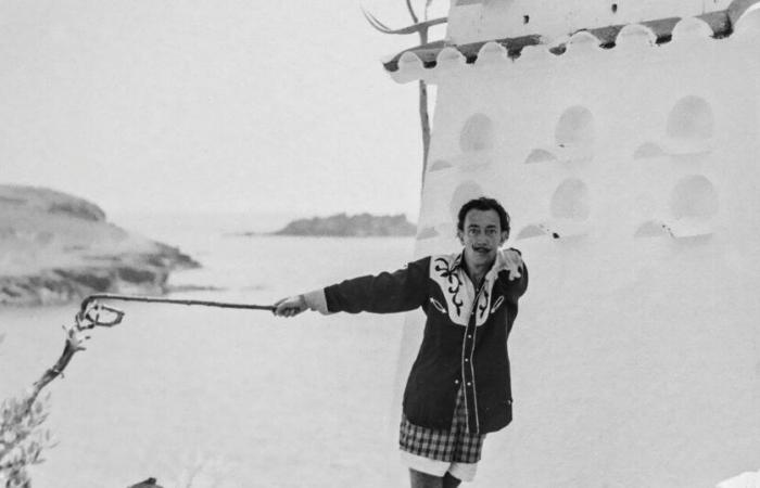 « La Vie de Salvador Dalí » de Ian Gibson, pommes de terre à Cadaqués – Libération