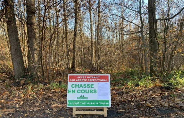 Attention, jeudi, chasse en cours dans cette forêt domaniale du Val-d’Oise