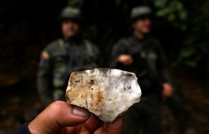 Sur les hauteurs de Cali, la lutte contre les mines d’or illégales