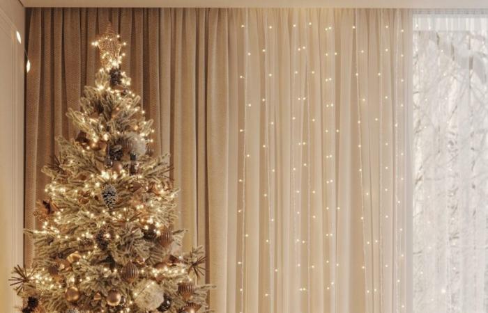 Les plus belles décorations de Noël se trouvent chez… Lidl !