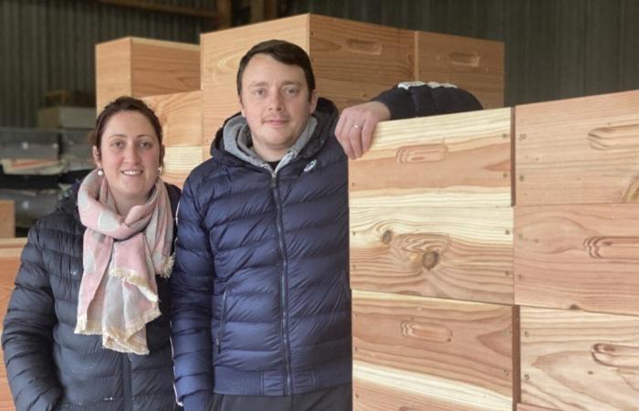 Ce couple produit leur propre miel et fabrique leurs propres ruches dans les Côtes-d’Armor