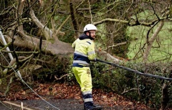 Les réseaux électriques émettent des conseils de sécurité avant la tempête Darragh