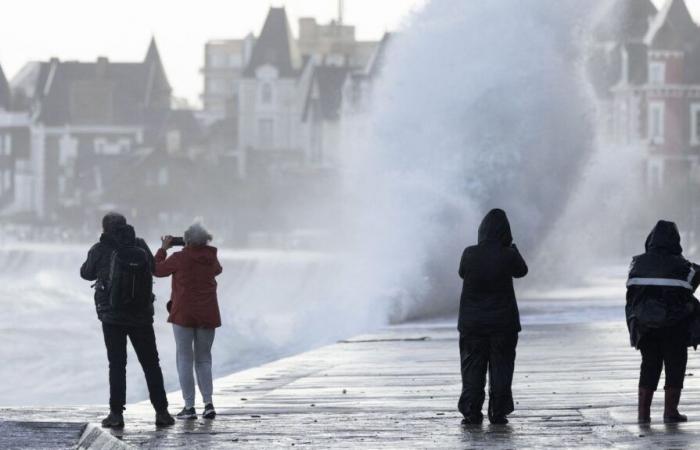 quinze départements du Nord-Ouest et des Pyrénées placés en alerte orange aux vents violents ou neige-verglas