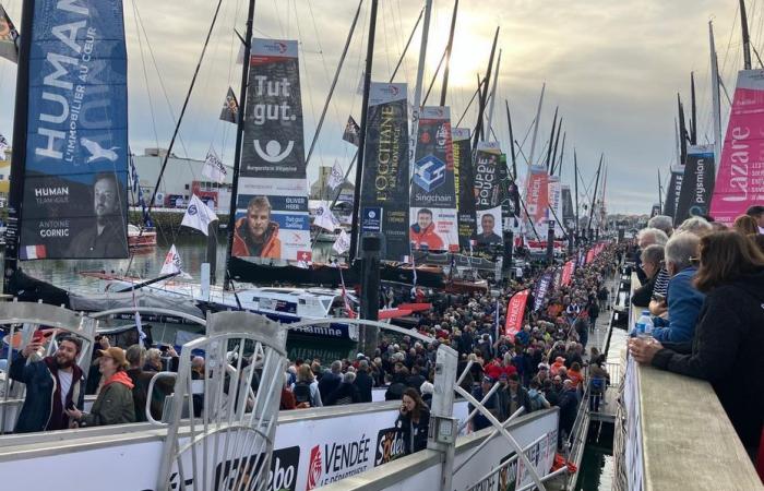 Émissions de carbone, impact sur la faune, le Vendée Globe est-il vert ?